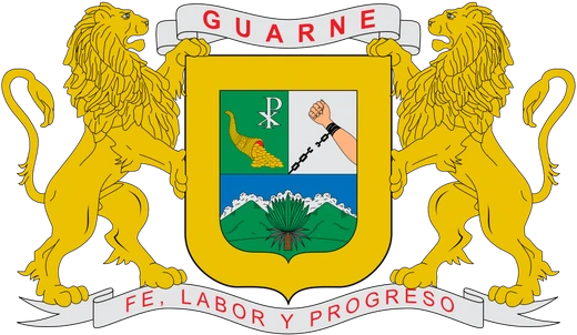 Logo AMVSN